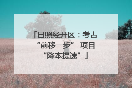 日照经开区：考古“前移一步” 项目“降本提速”