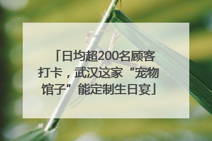 日均超200名顾客打卡，武汉这家“宠物馆子”能定制生日宴