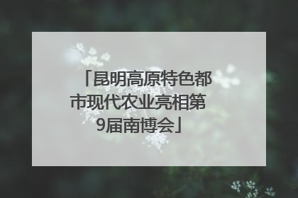 昆明高原特色都市现代农业亮相第9届南博会