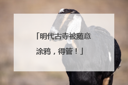 明代古寺被随意涂鸦，得管！