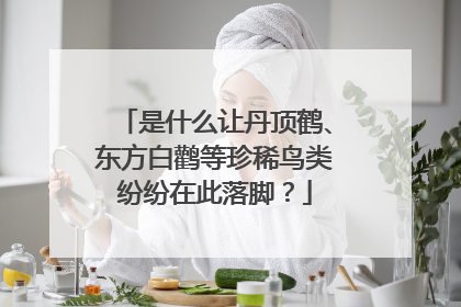是什么让丹顶鹤、东方白鹳等珍稀鸟类纷纷在此落脚？