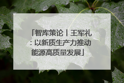 智库策论丨王军礼：以新质生产力推动能源高质量发展