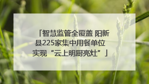智慧监管全覆盖 阳新县225家集中用餐单位实现“云上明厨亮灶”