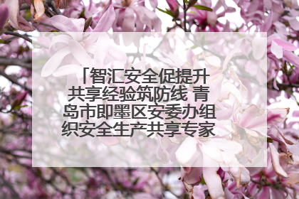 智汇安全促提升 共享经验筑防线 青岛市即墨区安委办组织安全生产共享专家现场观摩学习活动