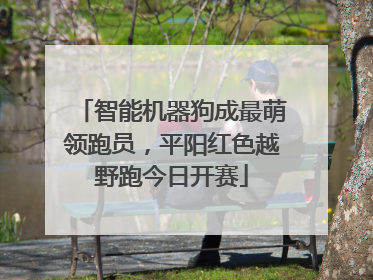 智能机器狗成最萌领跑员，平阳红色越野跑今日开赛