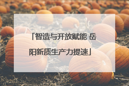 智造与开放赋能 岳阳新质生产力提速