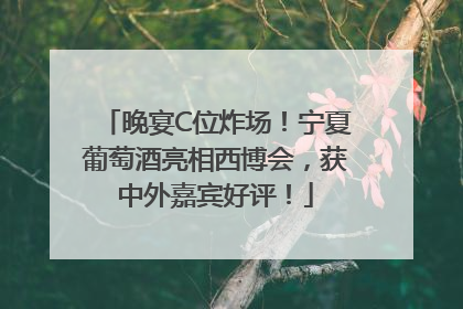 晚宴C位炸场！宁夏葡萄酒亮相西博会，获中外嘉宾好评！