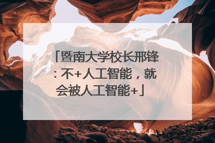 暨南大学校长邢锋：不+人工智能，就会被人工智能+