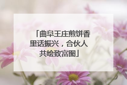 曲阜王庄煎饼香里话振兴，合伙人共绘致富图