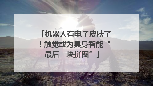 机器人有电子皮肤了！触觉或为具身智能“最后一块拼图”