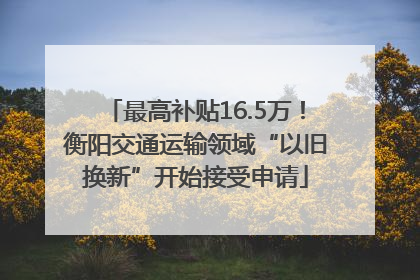 最高补贴16.5万！衡阳交通运输领域“以旧换新”开始接受申请