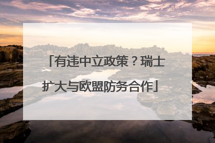 有违中立政策？瑞士扩大与欧盟防务合作