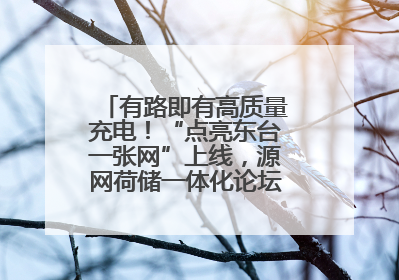 有路即有高质量充电！“点亮东台一张网”上线，源网荷储一体化论坛聚焦低碳转型