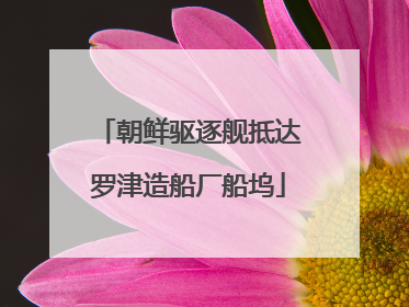 朝鲜驱逐舰抵达罗津造船厂船坞