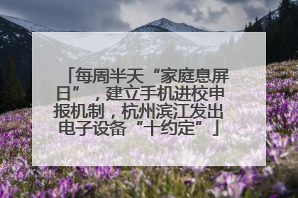 每周半天“家庭息屏日”，建立手机进校申报机制，杭州滨江发出电子设备“十约定”