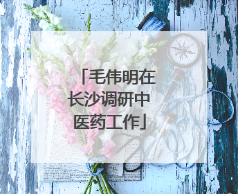 毛伟明在长沙调研中医药工作