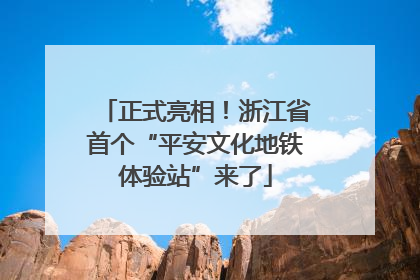 正式亮相！浙江省首个“平安文化地铁体验站”来了