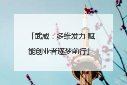 武威：多维发力 赋能创业者逐梦前行