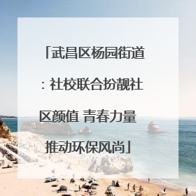武昌区杨园街道：社校联合扮靓社区颜值 青春力量推动环保风尚