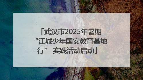 武汉市2025年暑期“江城少年国安教育基地行” 实践活动启动