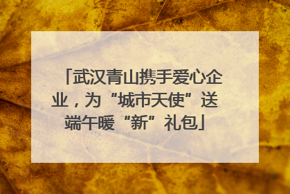 武汉青山携手爱心企业，为“城市天使”送端午暖“新”礼包