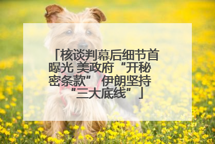 核谈判幕后细节首曝光 美政府“开秘密条款” 伊朗坚持“三大底线”