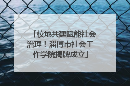 校地共建赋能社会治理！淄博市社会工作学院揭牌成立