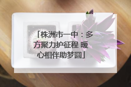 株洲市一中：多方聚力护征程 暖心相伴助梦圆