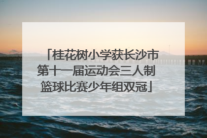 桂花树小学获长沙市第十一届运动会三人制篮球比赛少年组双冠