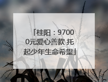 桂阳：97000元爱心善款 托起少年生命希望