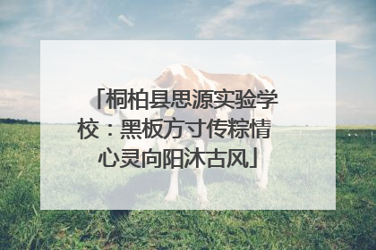 桐柏县思源实验学校：黑板方寸传粽情 心灵向阳沐古风