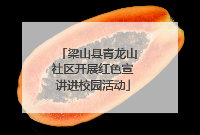 梁山县青龙山社区开展红色宣讲进校园活动