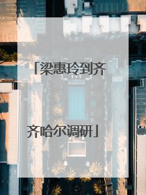 梁惠玲到齐齐哈尔调研