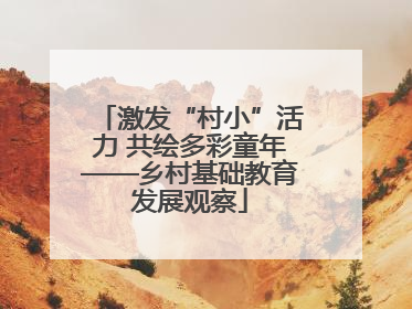 激发“村小”活力 共绘多彩童年——乡村基础教育发展观察