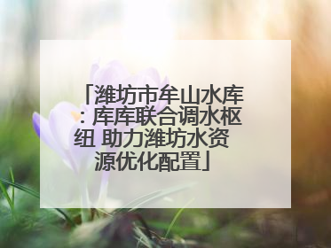 潍坊市牟山水库：库库联合调水枢纽 助力潍坊水资源优化配置