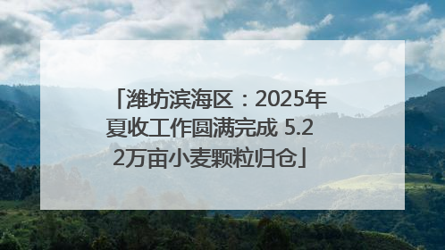 潍坊滨海区：2025年夏收工作圆满完成 5.22万亩小麦颗粒归仓