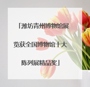 潍坊青州博物馆展览获全国博物馆十大陈列展精品奖