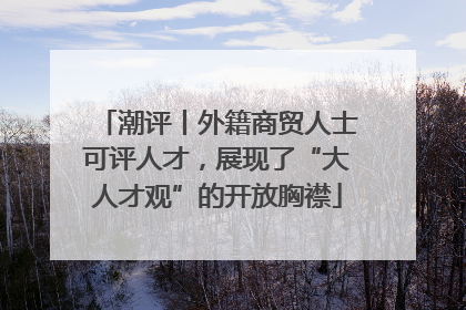 潮评丨外籍商贸人士可评人才，展现了“大人才观”的开放胸襟