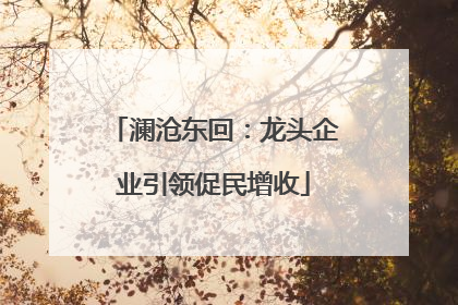 澜沧东回：龙头企业引领促民增收