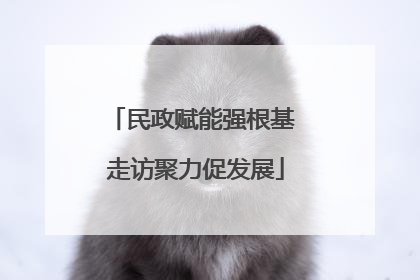 民政赋能强根基 走访聚力促发展