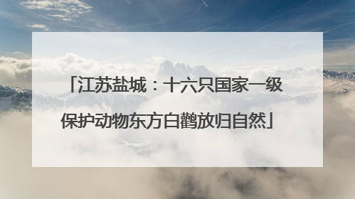 江苏盐城：十六只国家一级保护动物东方白鹳放归自然