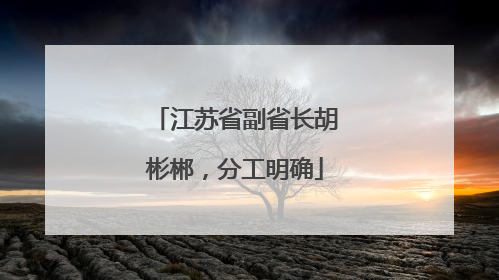 江苏省副省长胡彬郴，分工明确