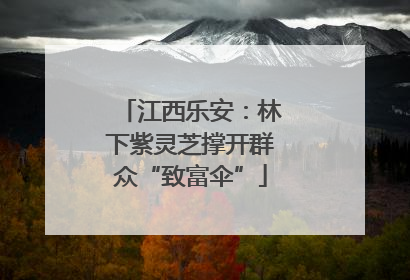 江西乐安：林下紫灵芝撑开群众“致富伞”