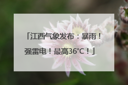 江西气象发布：暴雨！强雷电！最高36℃！