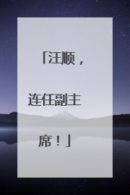 汪顺，连任副主席！