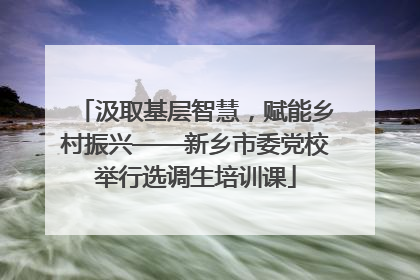 汲取基层智慧，赋能乡村振兴——新乡市委党校举行选调生培训课