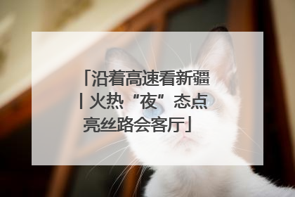 沿着高速看新疆丨火热“夜”态点亮丝路会客厅