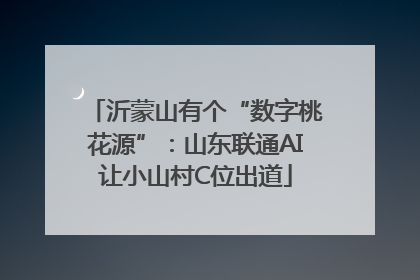 沂蒙山有个“数字桃花源”：山东联通AI让小山村C位出道