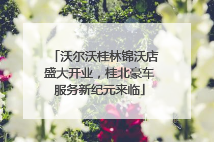 沃尔沃桂林锦沃店盛大开业，桂北豪车服务新纪元来临