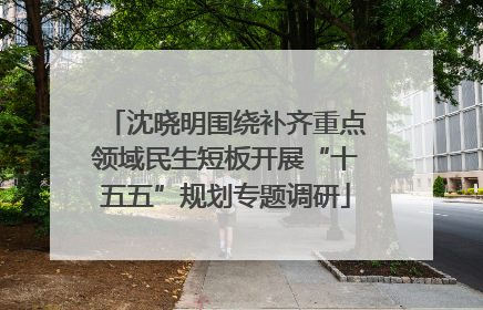 沈晓明围绕补齐重点领域民生短板开展“十五五”规划专题调研